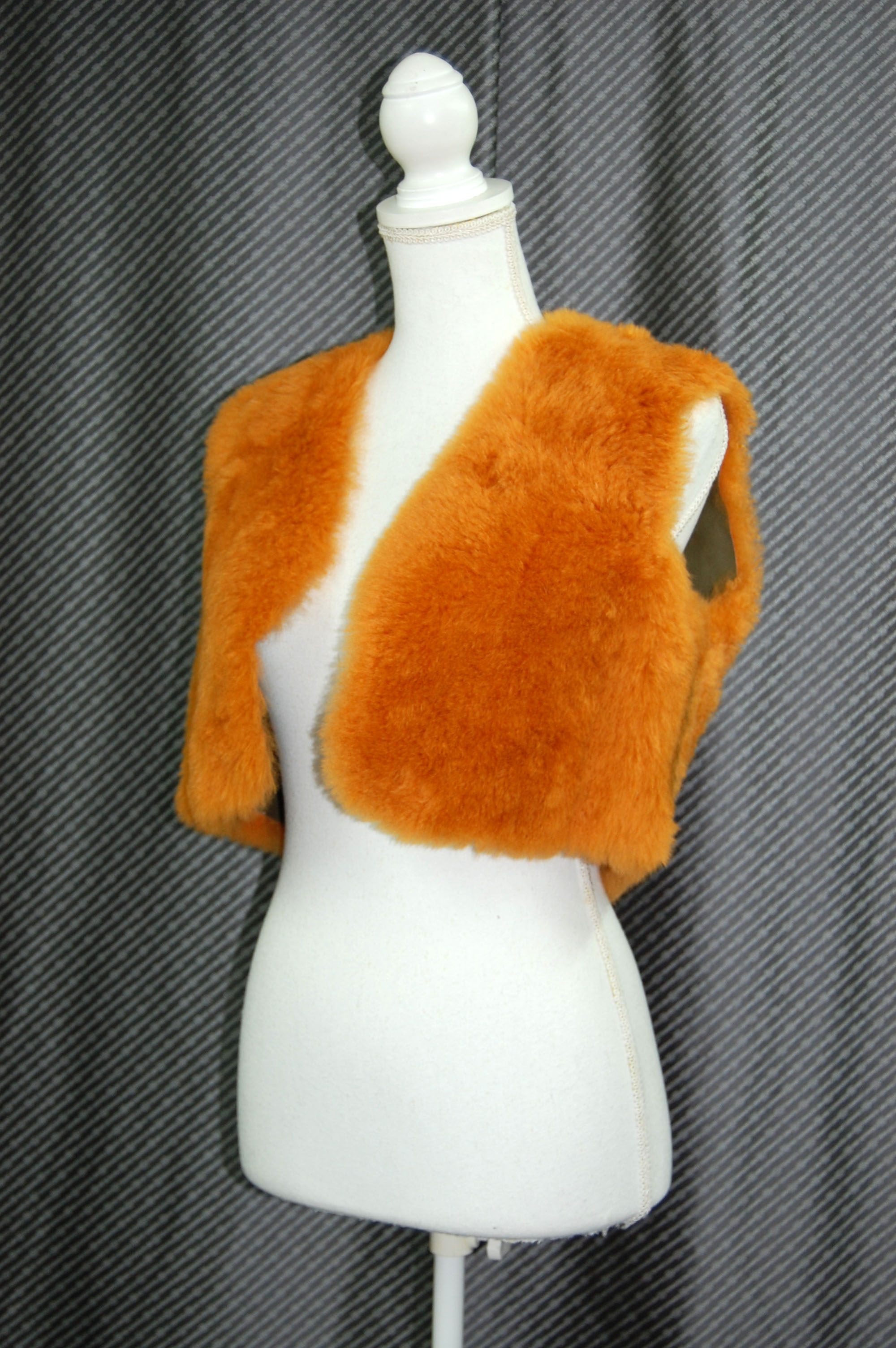 カシミヤゴート　ダブルフェイスジレの画像