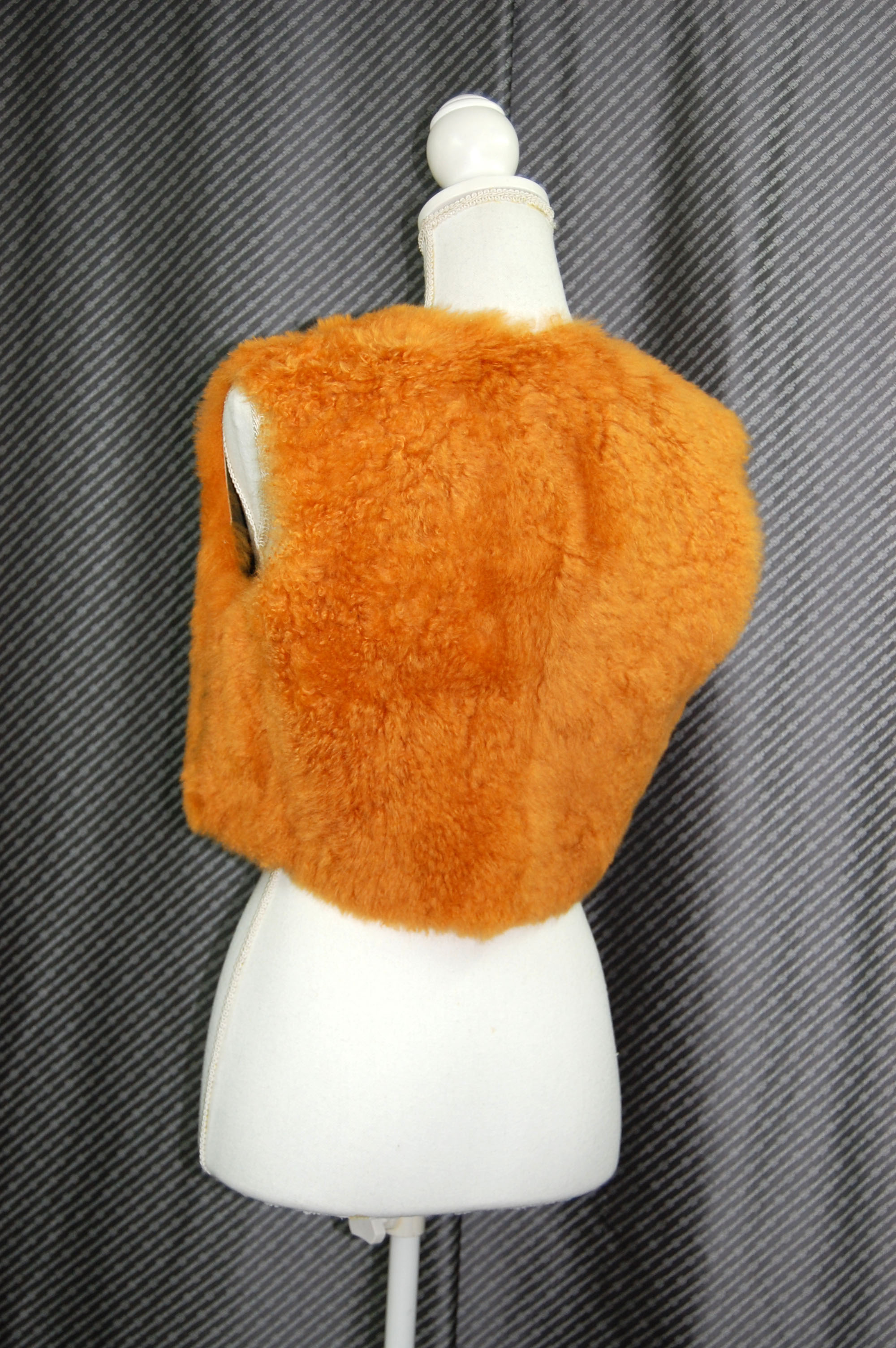 カシミヤゴート　ダブルフェイスジレの画像