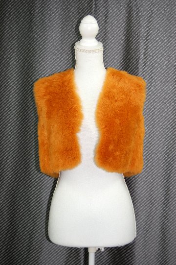 カシミヤゴート　ダブルフェイスジレの画像