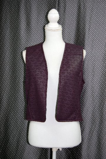 ムートンダブルフェイス　パンチングジレの画像