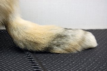 フォックス　クロケットハット　テール付の画像