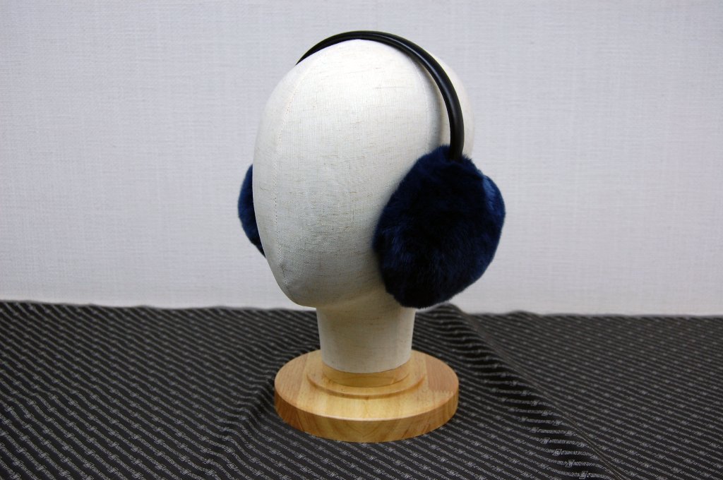 レッキス　イヤマフの画像