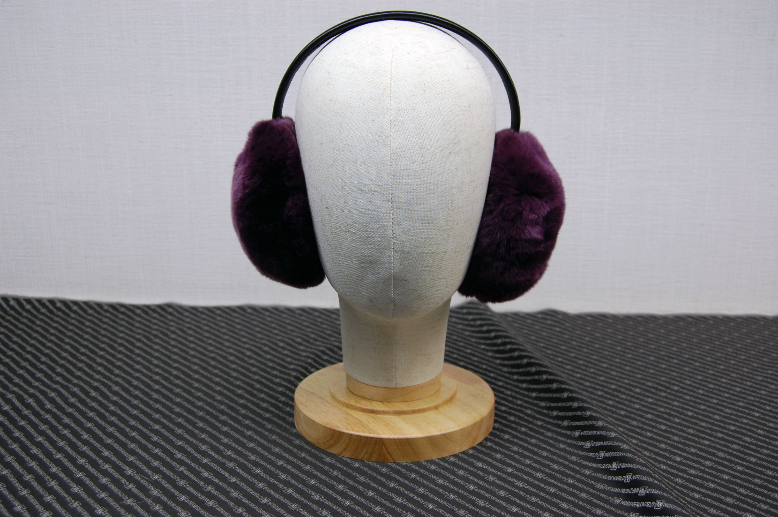 レッキス　イヤマフの画像