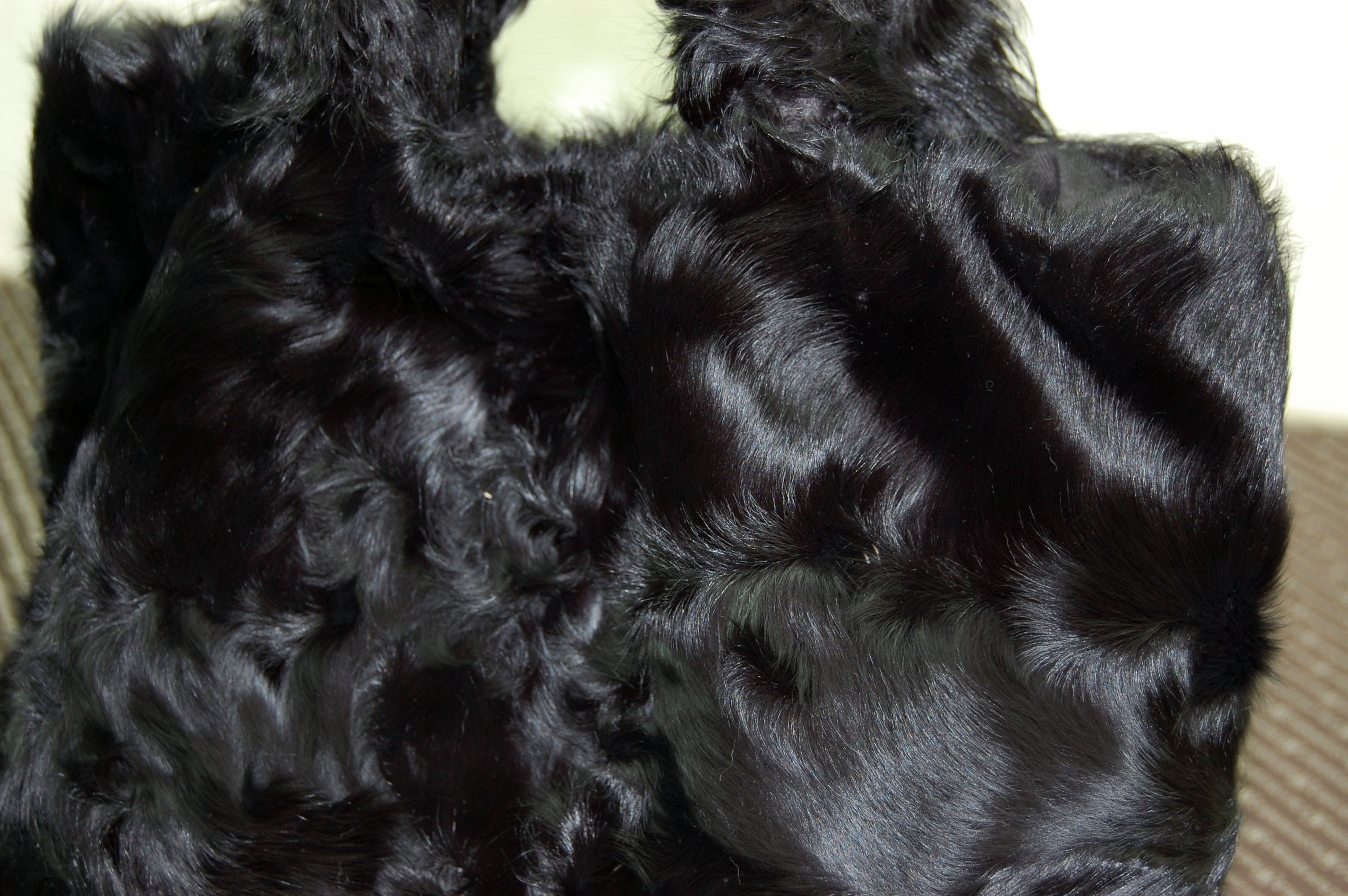 ラム　ミニトートバッグの画像