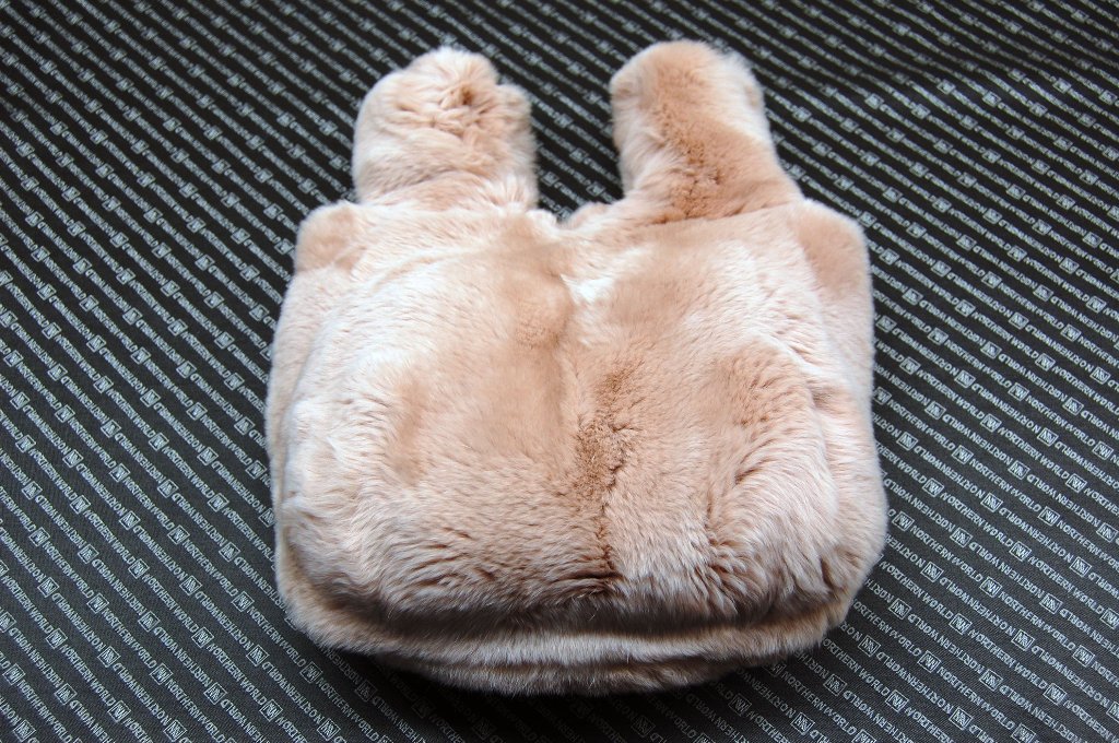 レッキス　マチ無しミニバッグの画像