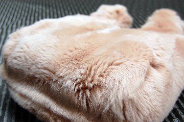 レッキス　マチ無しミニバッグの画像