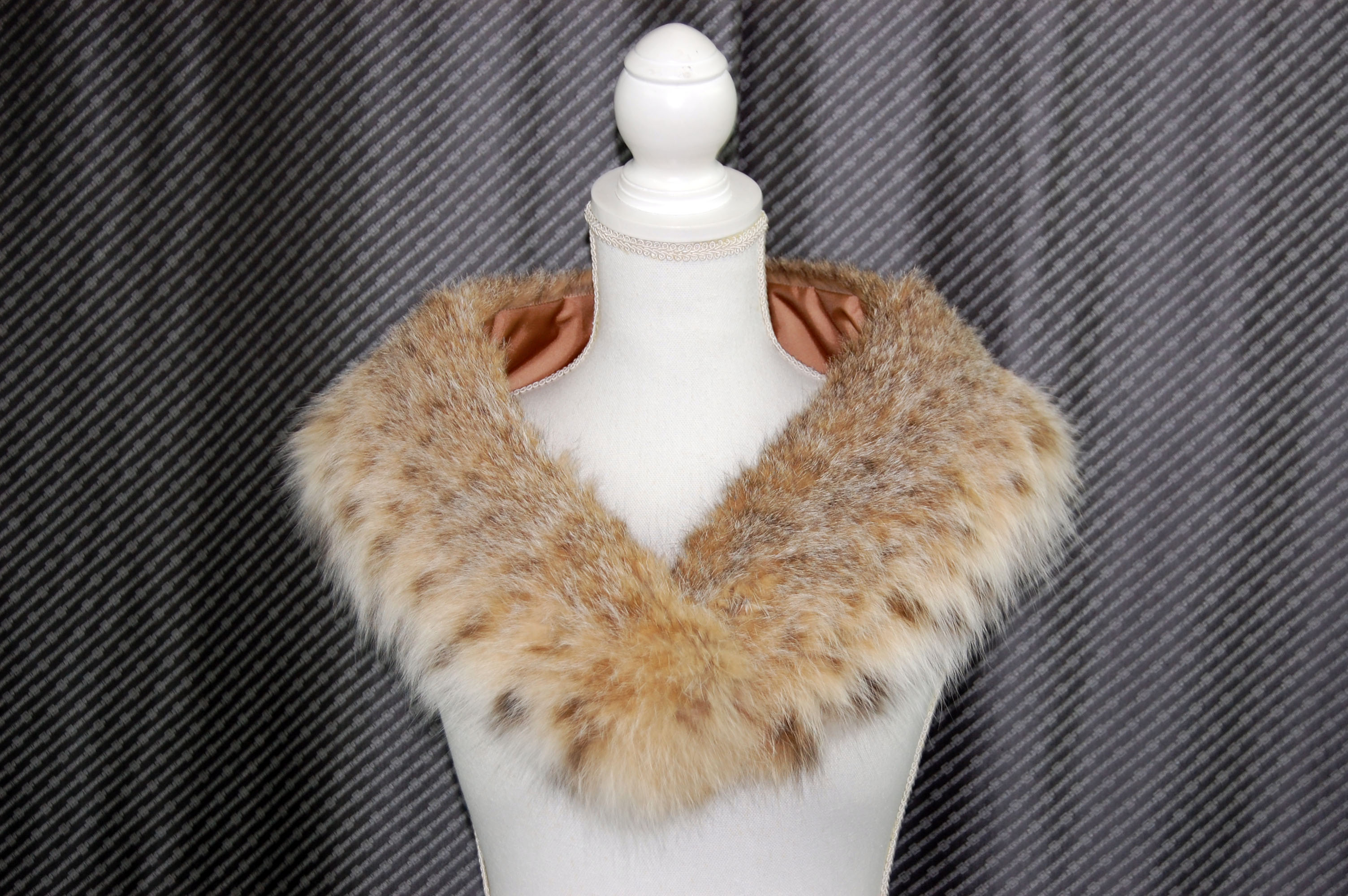 リンクスキャット　カラーの画像