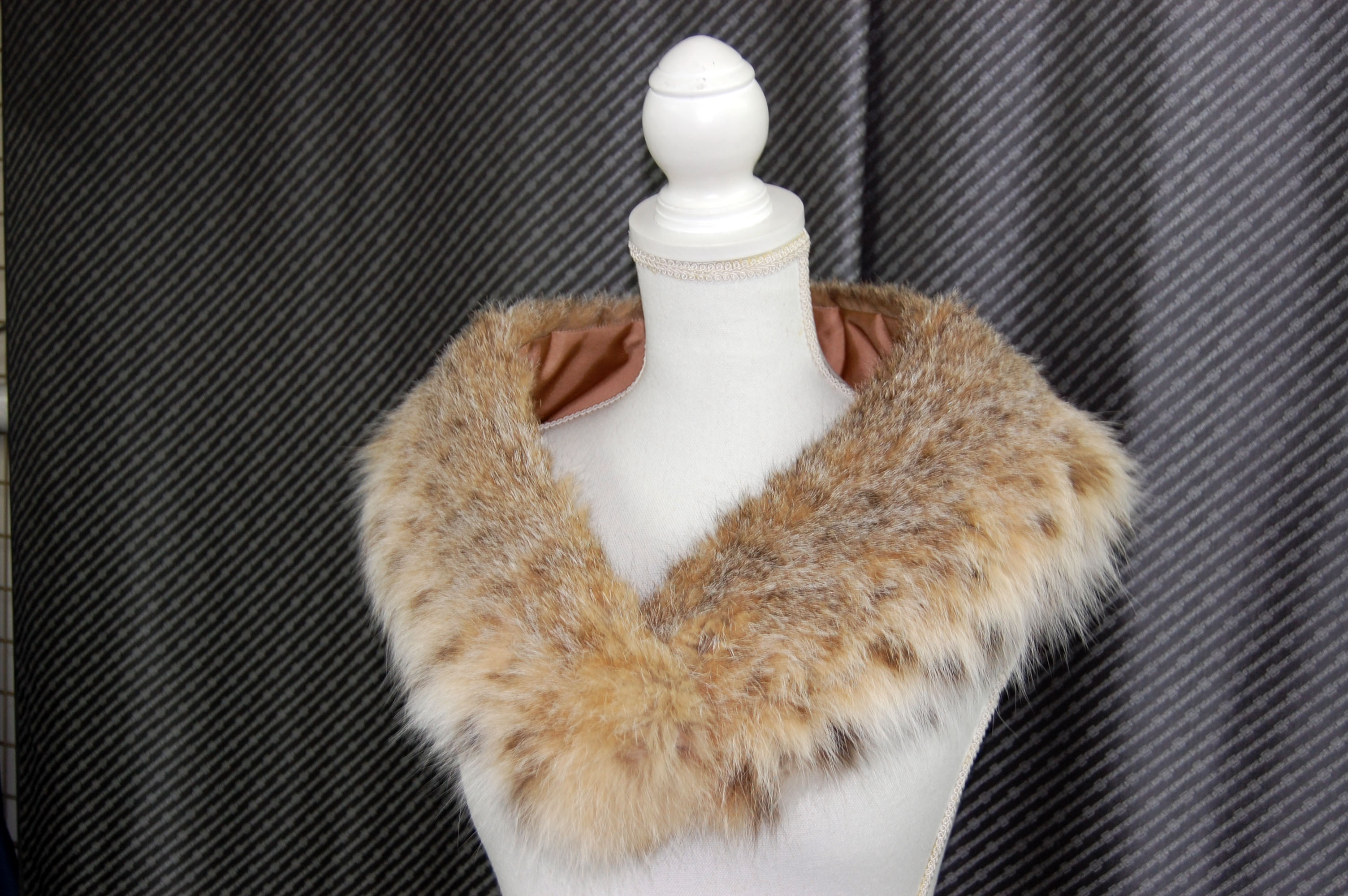 リンクスキャット　カラーの画像