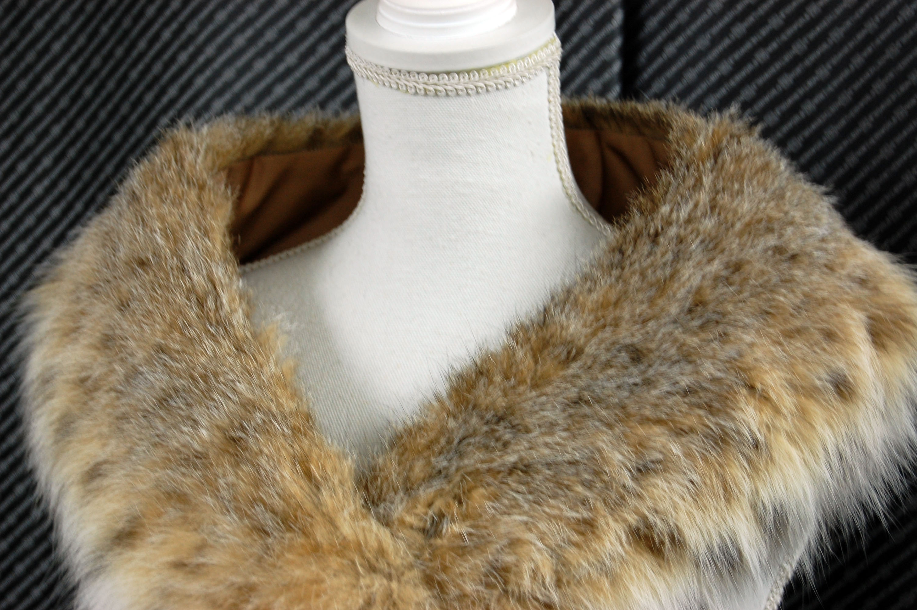 リンクスキャット　カラーの画像