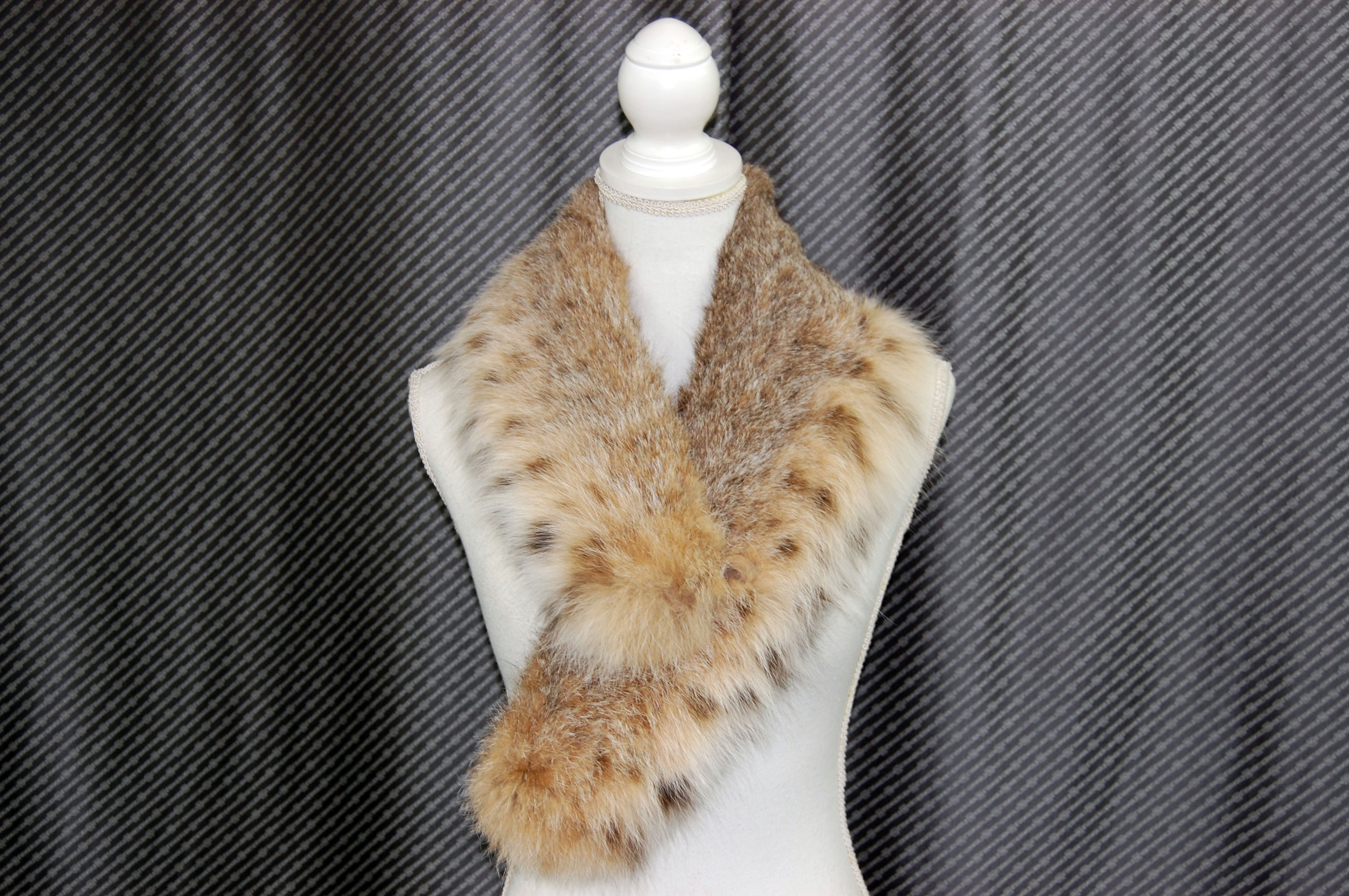 リンクスキャット　カラーの画像