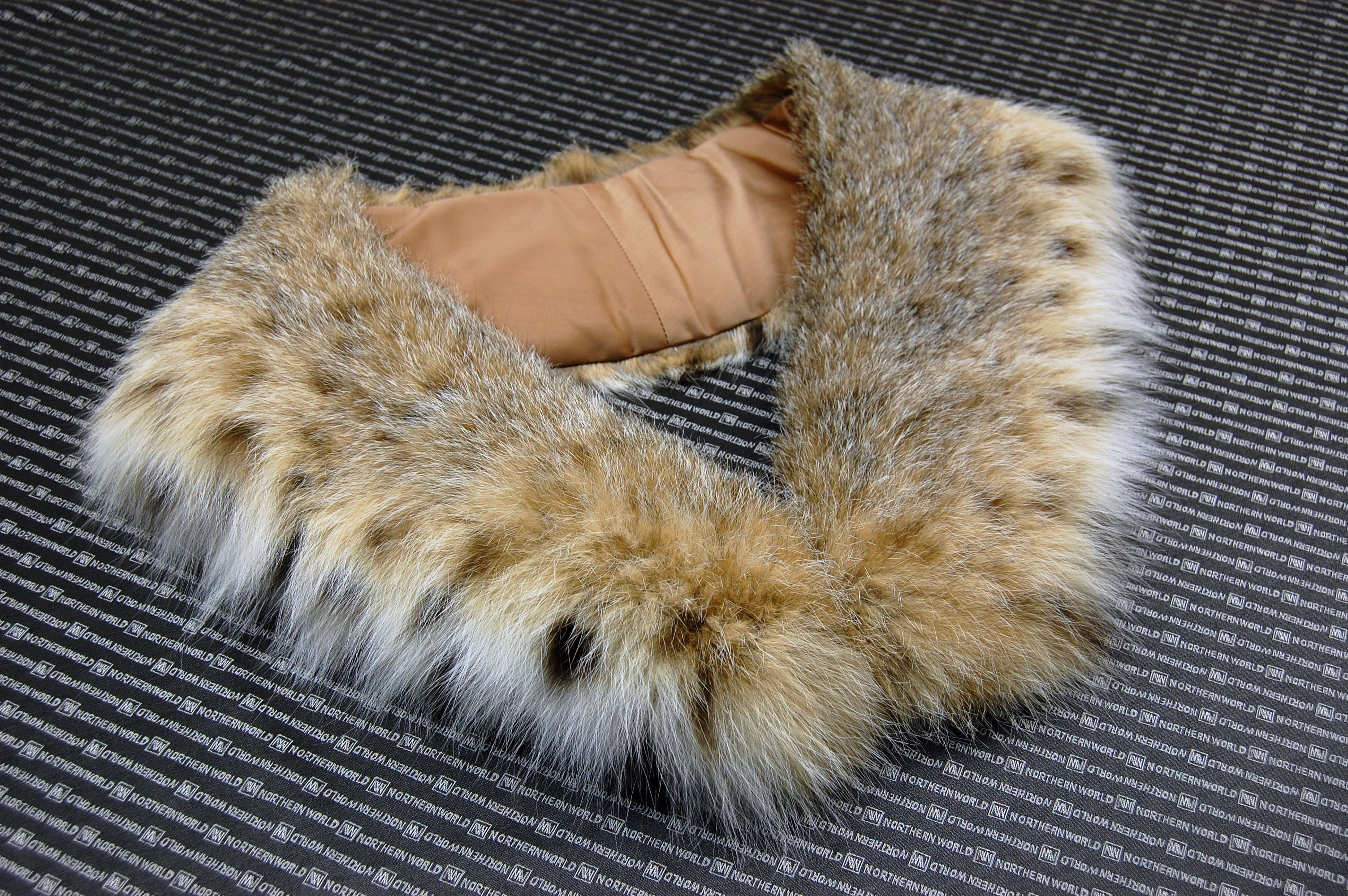 リンクスキャット　カラーの画像