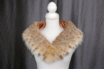 リンクスキャット　カラーの画像