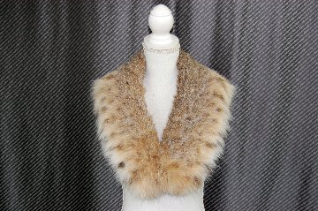 リンクスキャット　カラーの画像