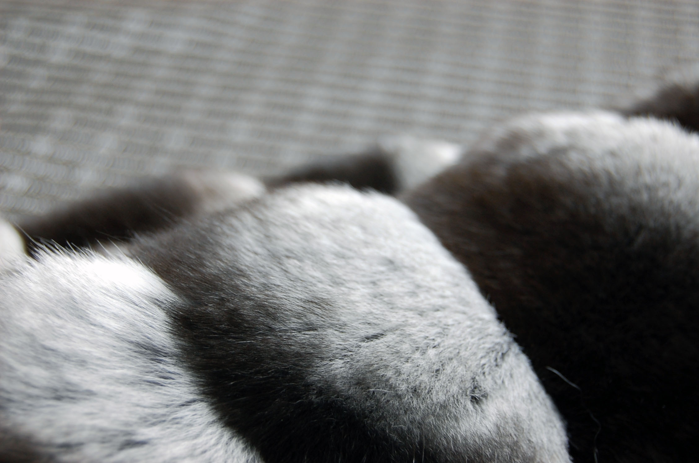 ブラックベルベットチンチラ　ダブルフェイスマフラーの画像