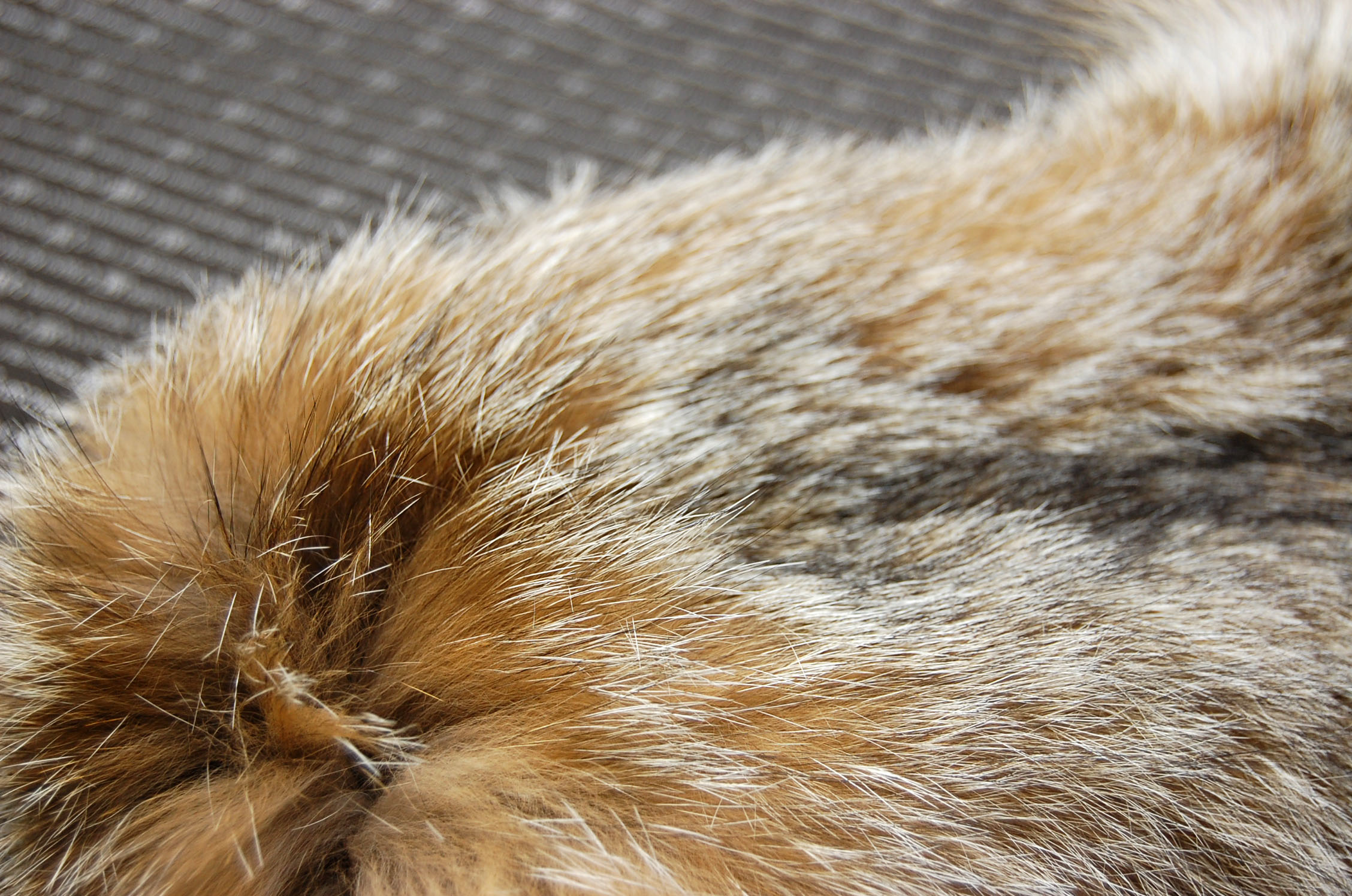 リンクス＆フォックス　スヌードの画像