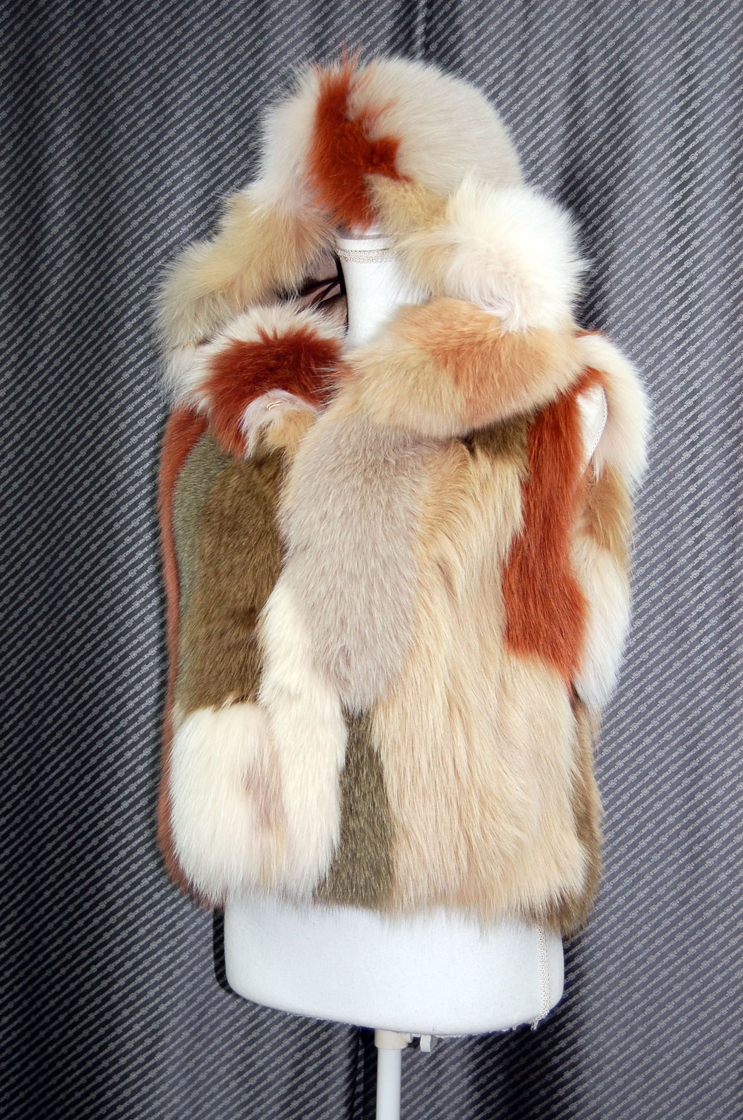 マルチカラーフォックス　フーディーベストの画像