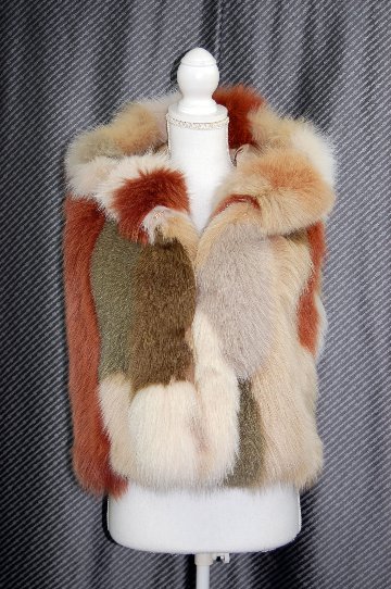 マルチカラーフォックス　フーディーベストの画像