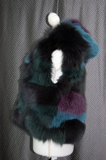 マルチカラーフォックス　フーディーベストの画像