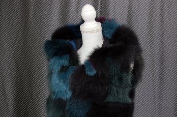 マルチカラーフォックス　フーディーベストの画像