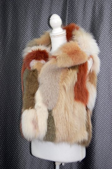 マルチカラーフォックス　フーディーベストの画像