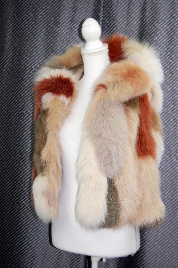 マルチカラーフォックス　フーディーベストの画像