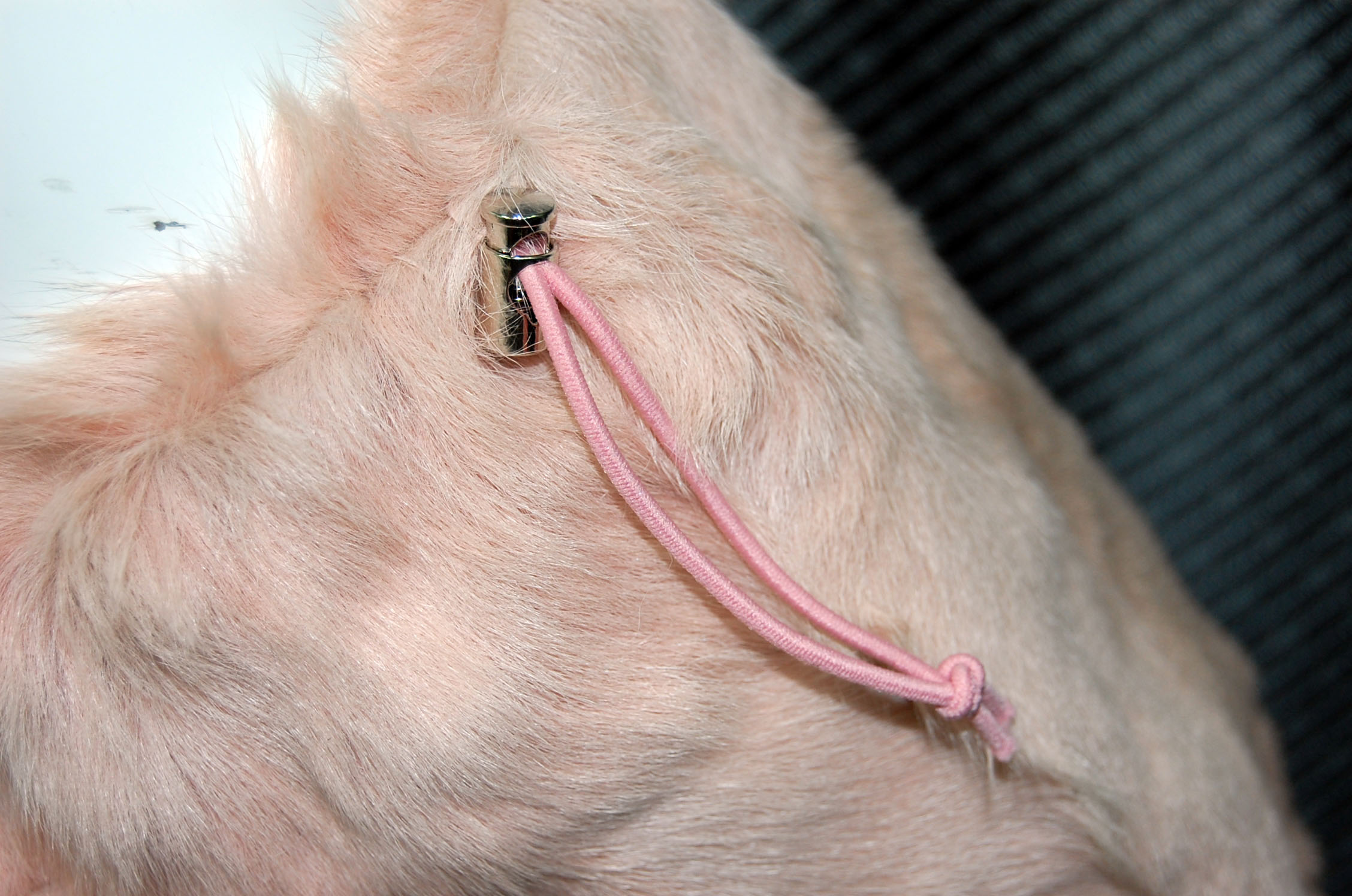 キッド　ダブルフェイスレッグウォーマーの画像