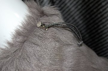 キッド　ダブルフェイスレッグウォーマーの画像