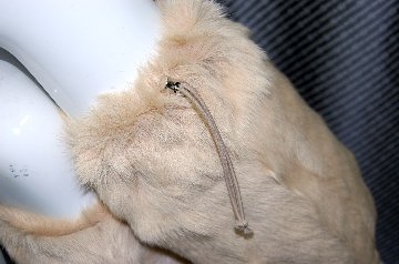 キッド　ダブルフェイスレッグウォーマーの画像