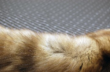 ロシアンセーブル　ダブルフェイスロングマフラーの画像