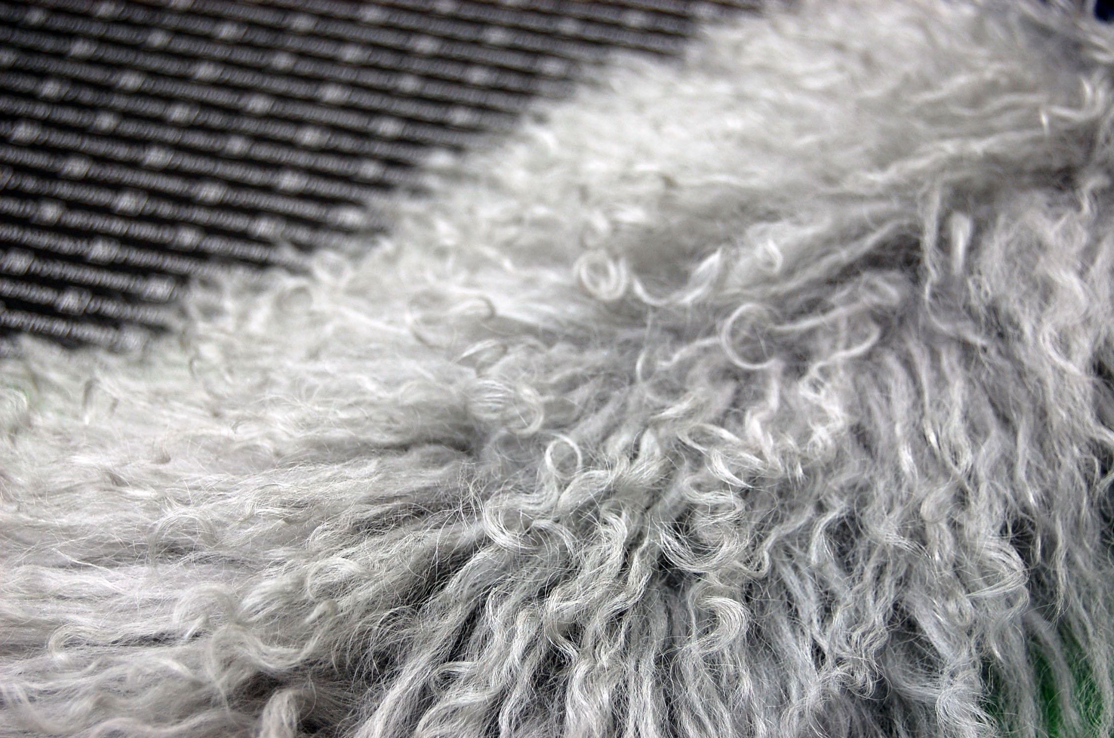 フォックス＆チベットラム　ロングマフラーの画像