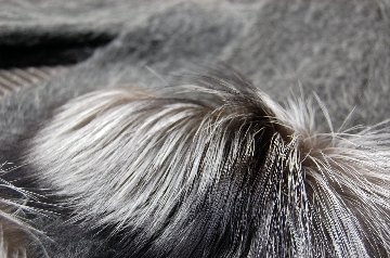 ウール＆モヘヤ混　ロングマフラー　シルバーフォックストリムの画像