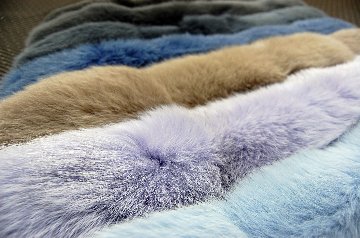 フォックス　チョーカーの画像