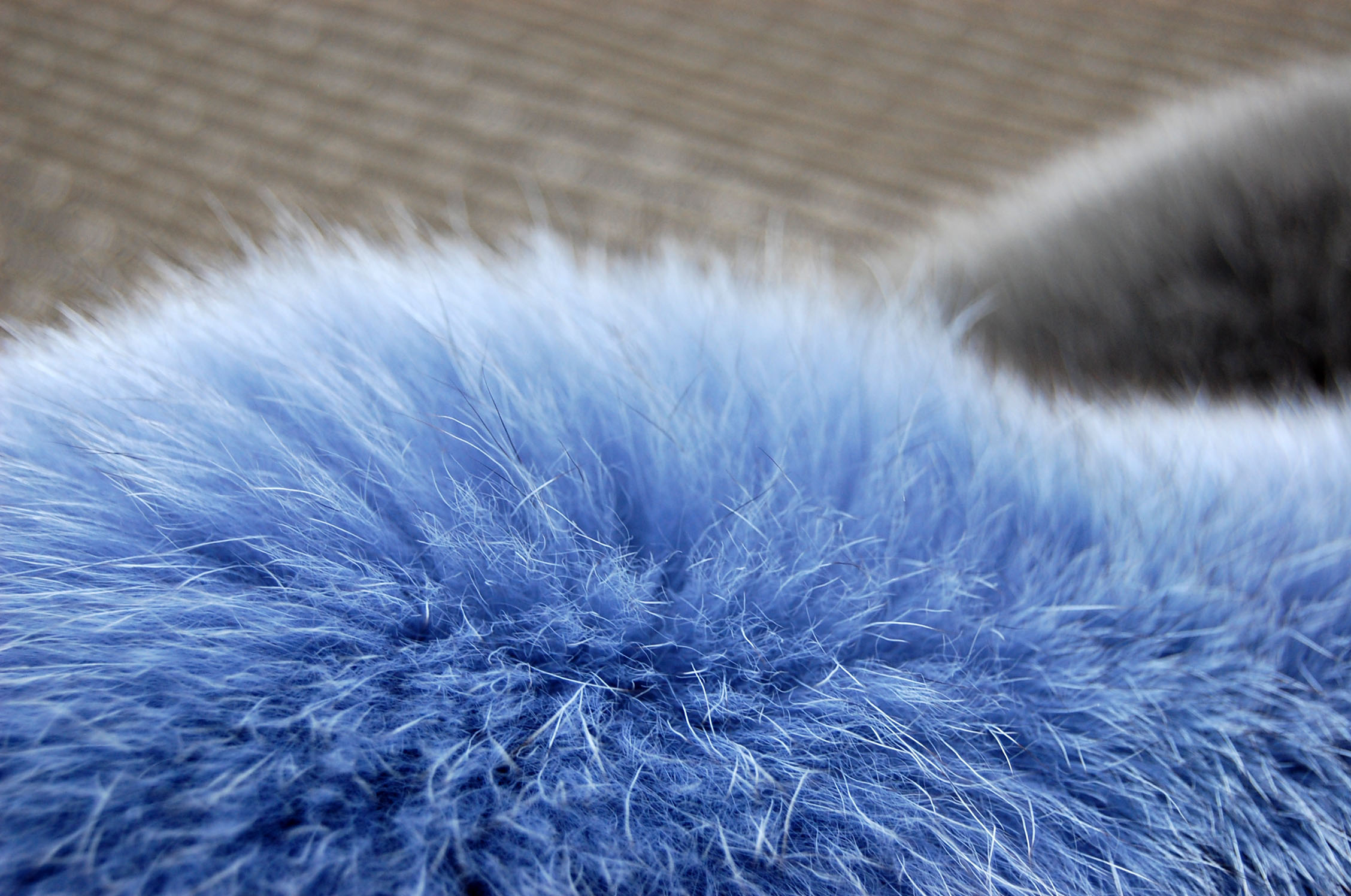 フォックス　チョーカーの画像