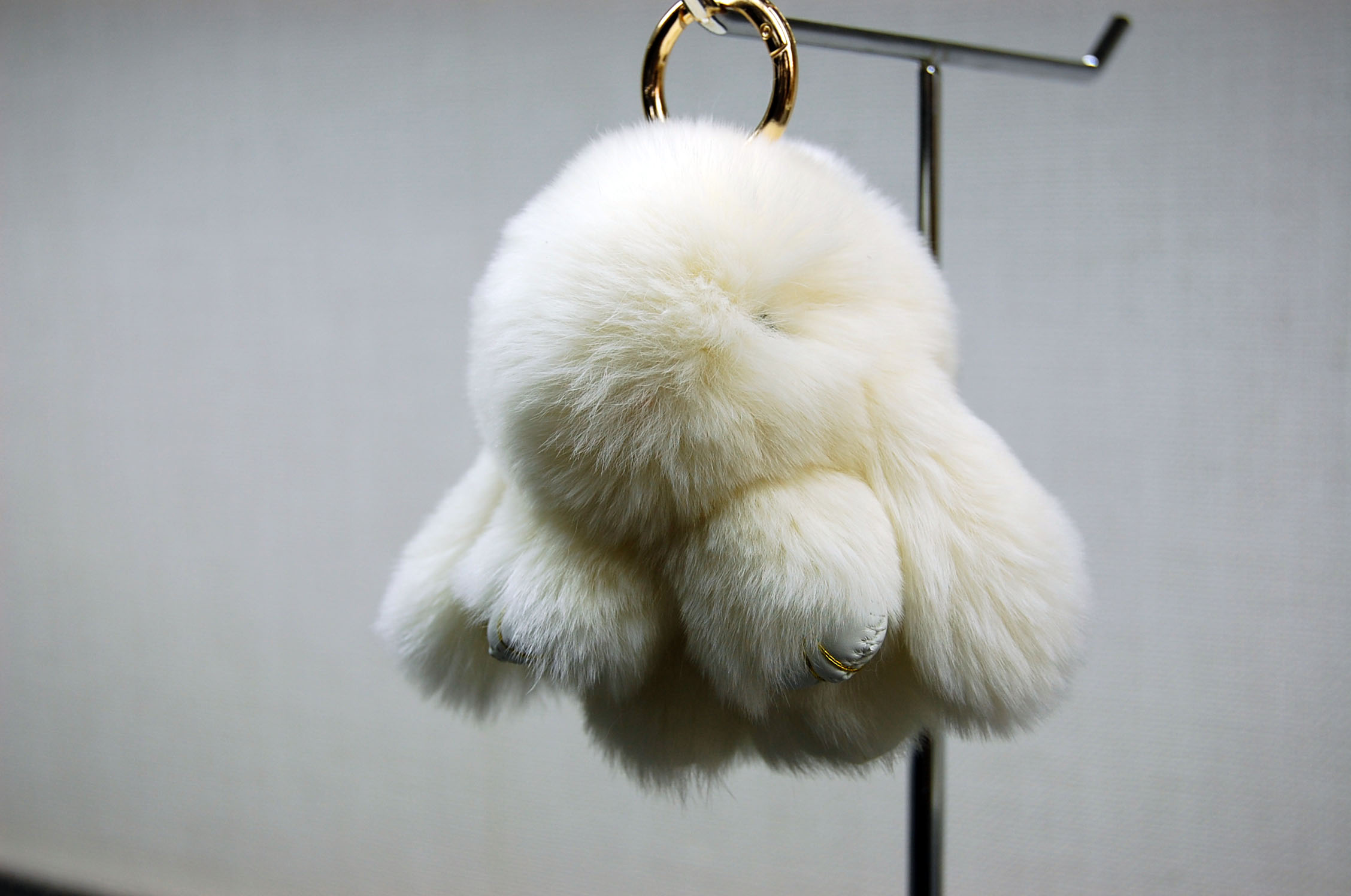 レッキス　チャーム（ミニロップ）の画像