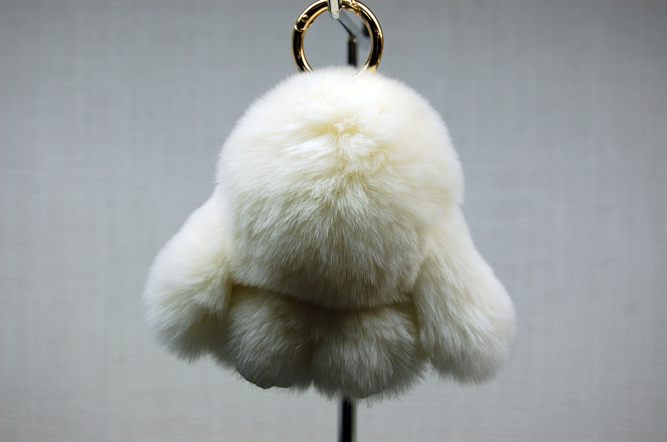 レッキス　チャーム（ミニロップ）の画像