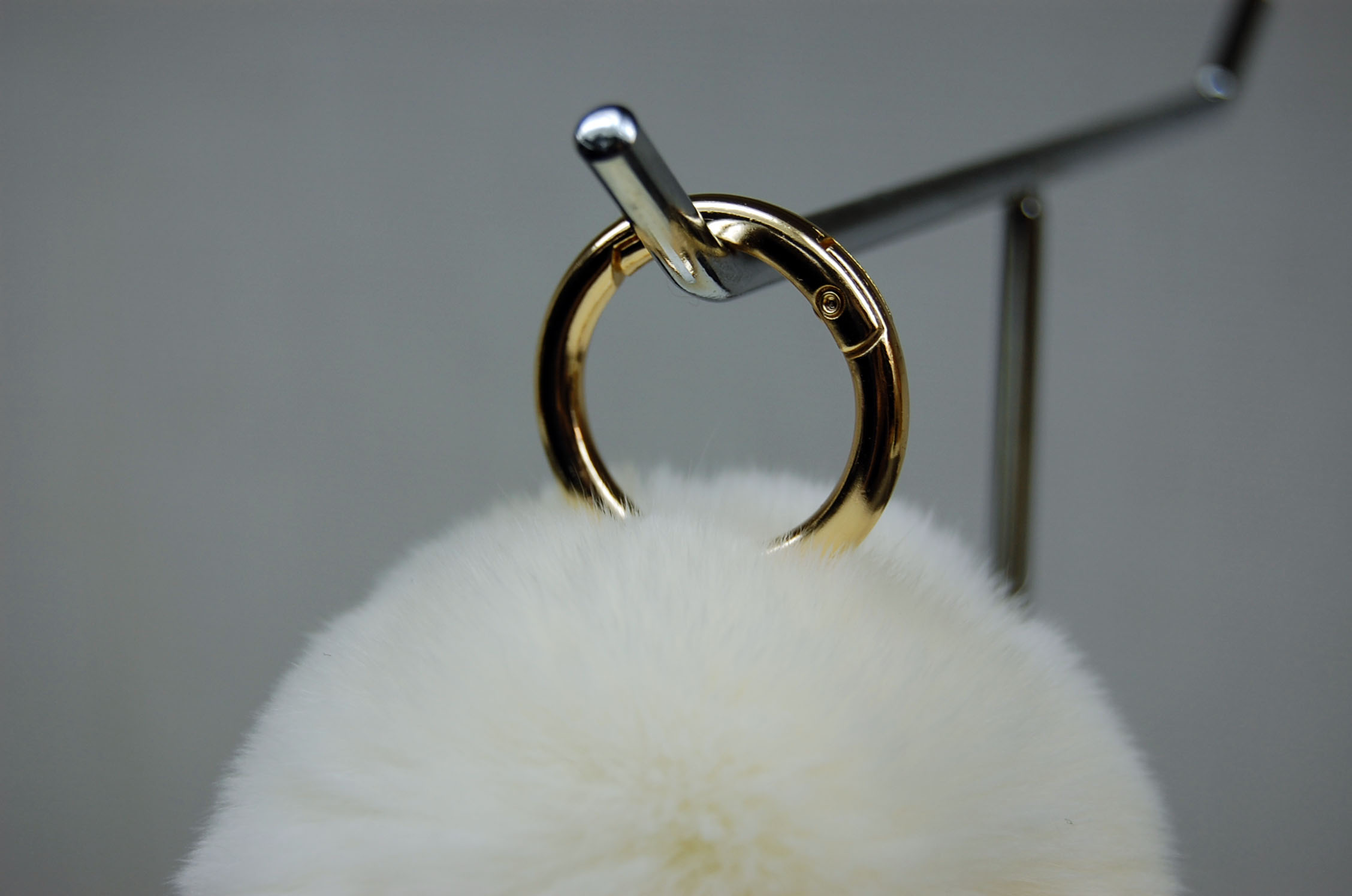 レッキス　チャーム（ミニロップ）の画像