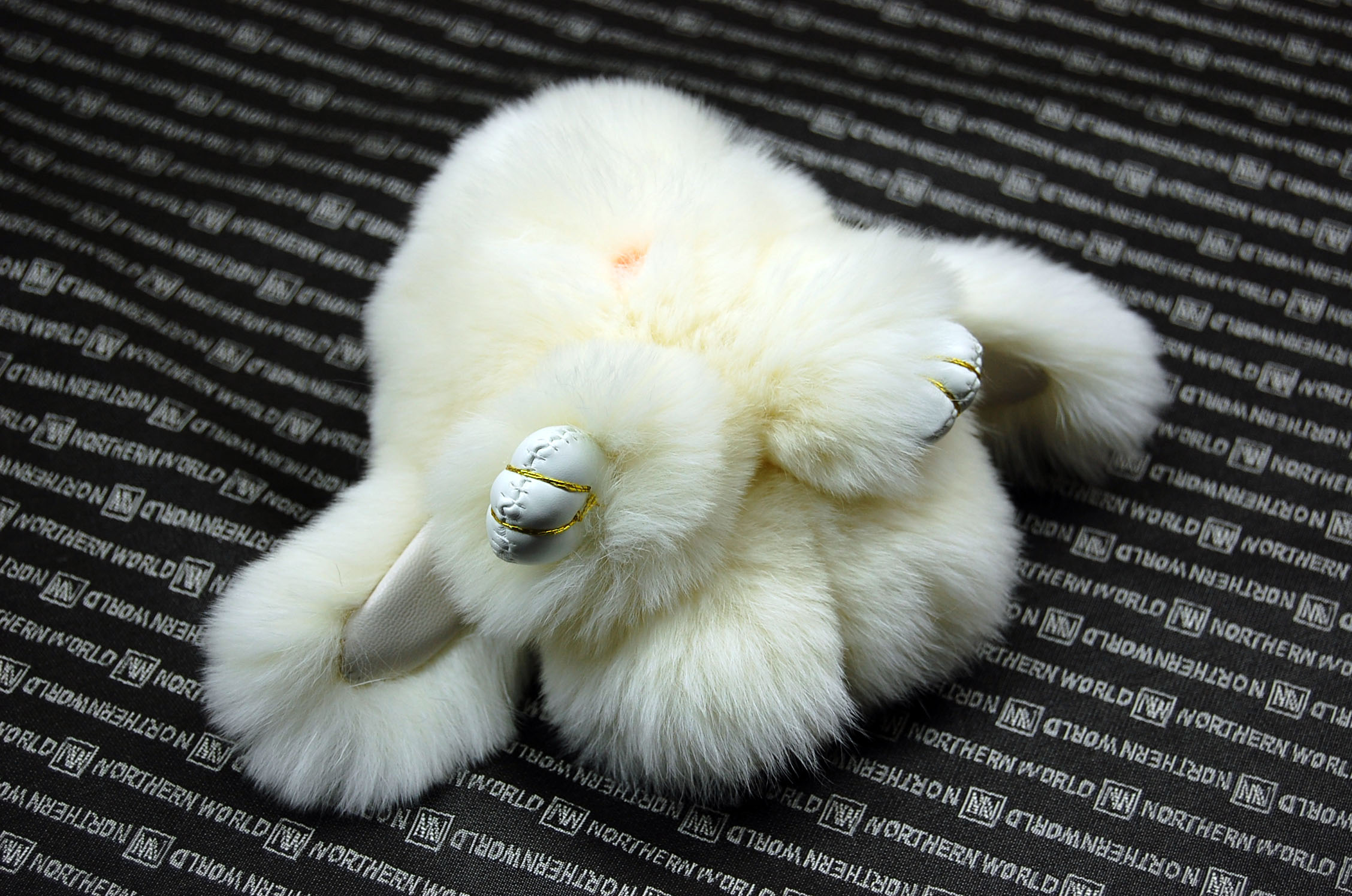 レッキス　チャーム（ミニロップ）の画像