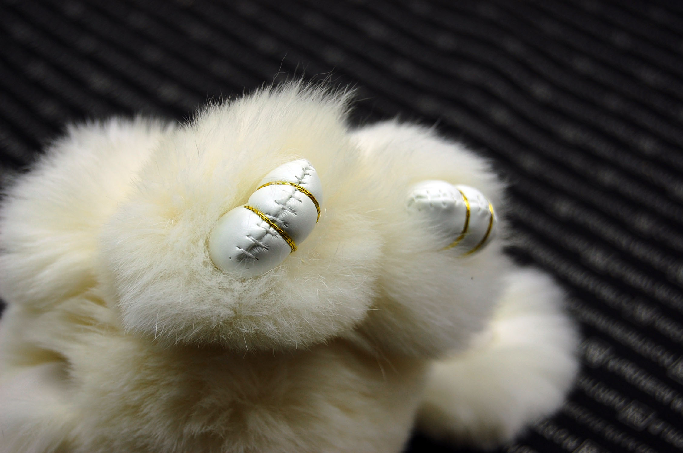 レッキス　チャーム（ミニロップ）の画像