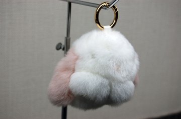 レッキス　チャーム（ミニロップ）の画像