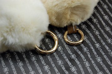 レッキス　チャーム（ミニロップ）の画像