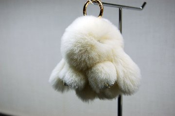 レッキス　チャーム（ミニロップ）の画像