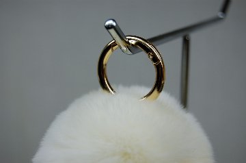 レッキス　チャーム（ミニロップ）の画像