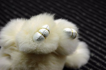 レッキス　チャーム（ミニロップ）の画像