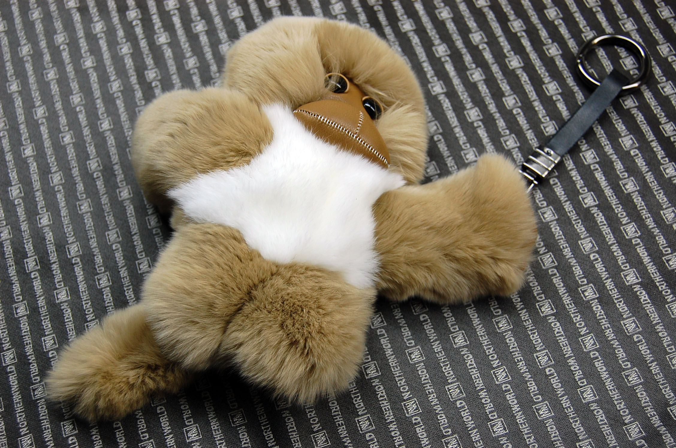 レッキス　チャーム（チンパンジー）の画像