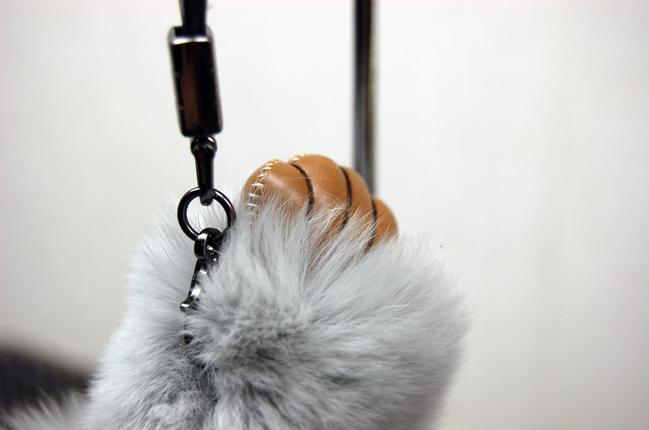 レッキス　チャーム（チンパンジー）の画像