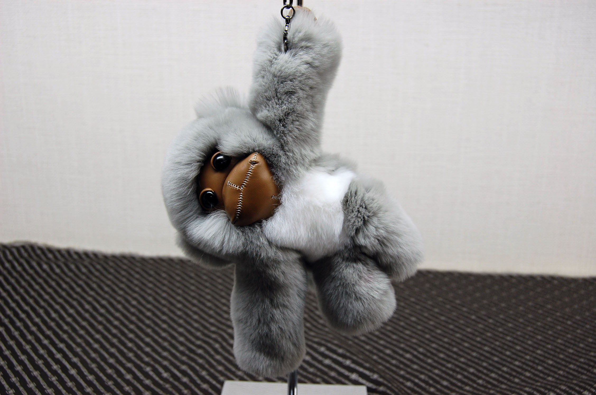 レッキス　チャーム（チンパンジー）の画像