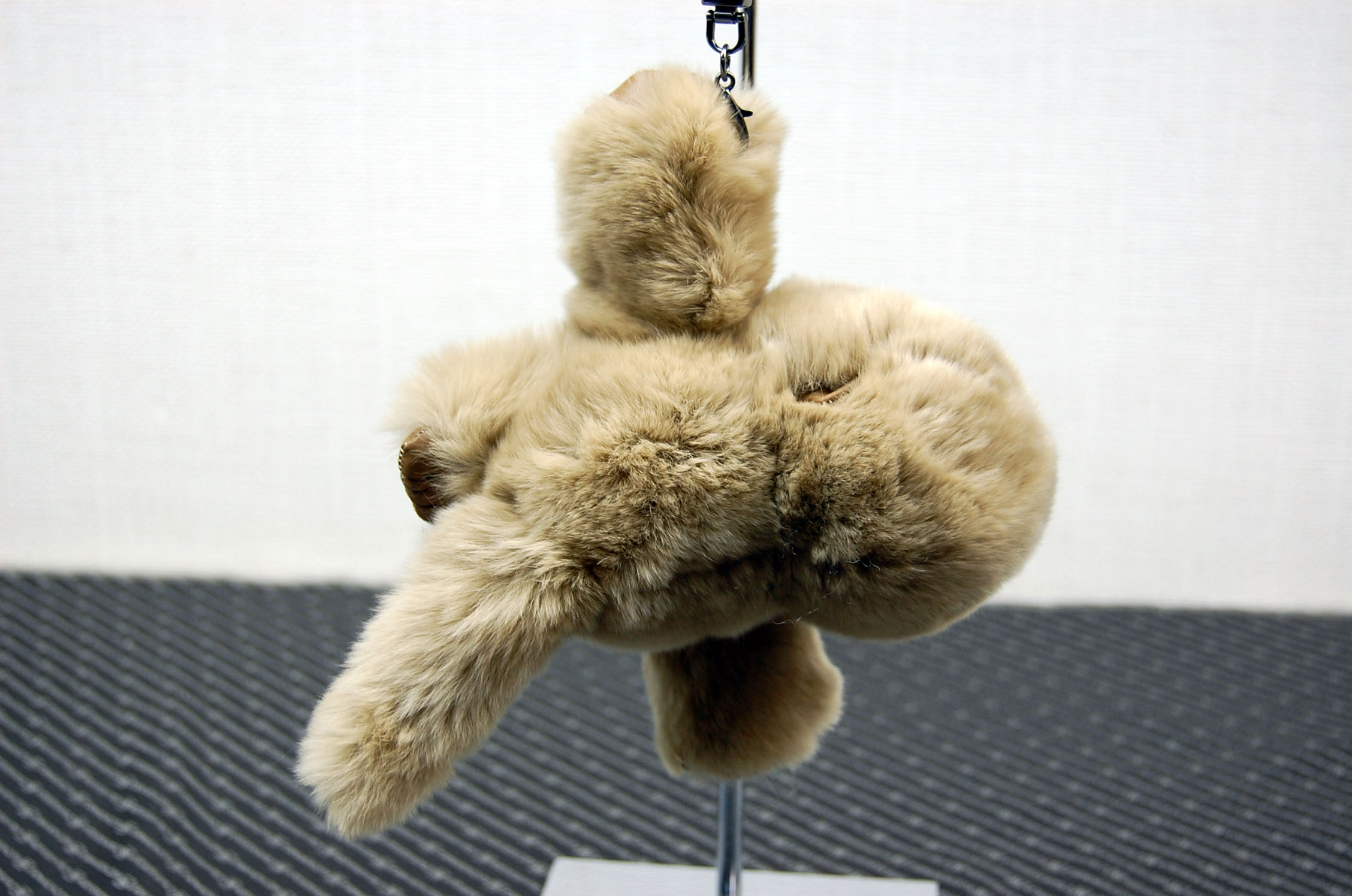 レッキス　チャーム（チンパンジー）の画像