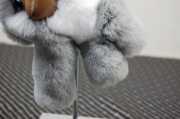 レッキス　チャーム（チンパンジー）の画像