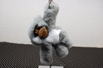 レッキス　チャーム（チンパンジー）の画像