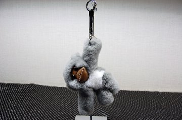 レッキス　チャーム（チンパンジー）の画像